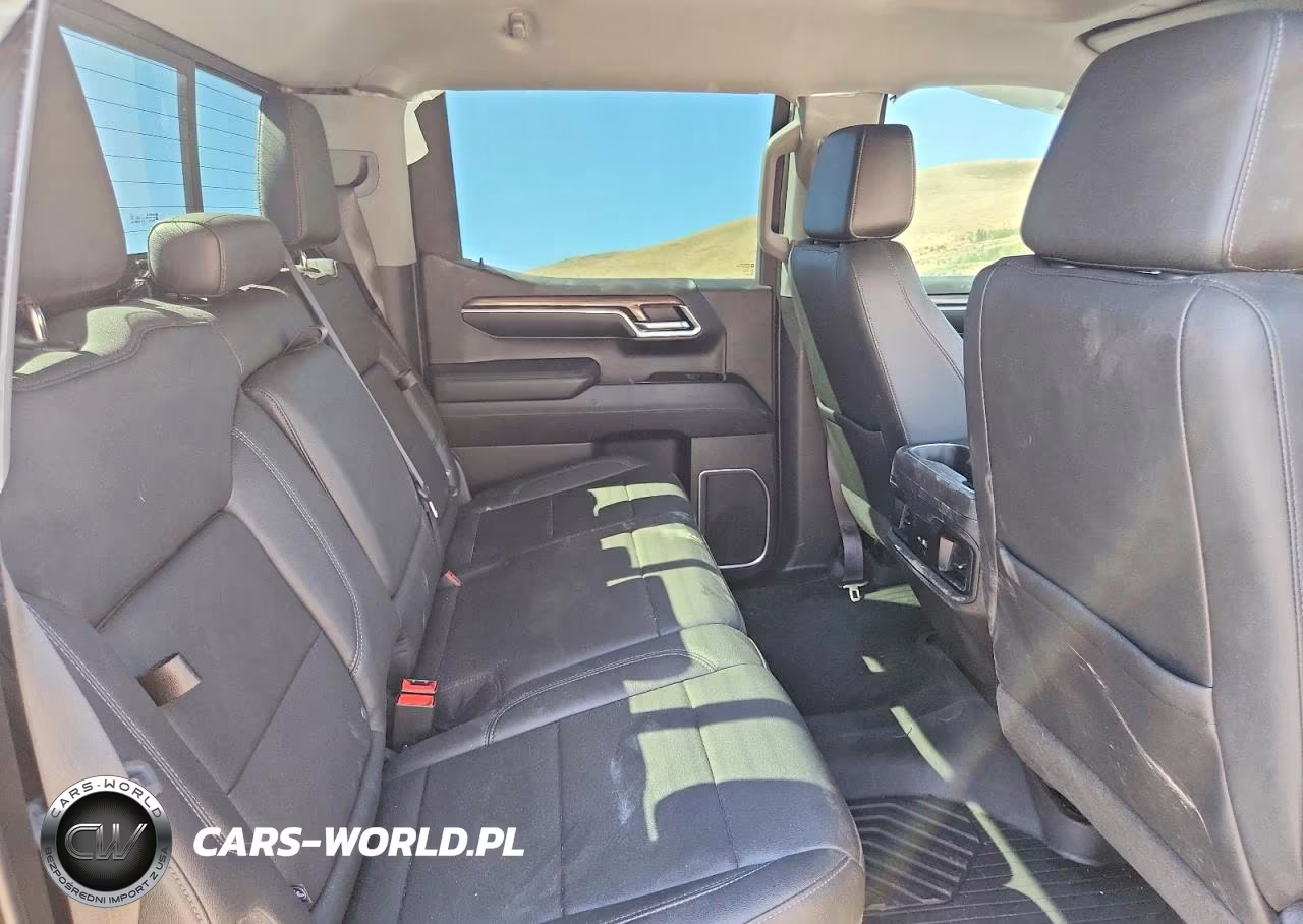 2023 Chevrolet Silverado K1500 Lt Trail Boss VIN:3GCUDFE82PG196343 - 10