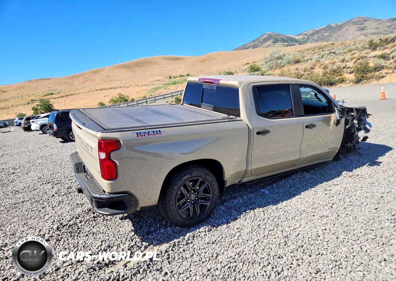 2023 Chevrolet Silverado K1500 Lt Trail Boss VIN:3GCUDFE82PG196343 - 3