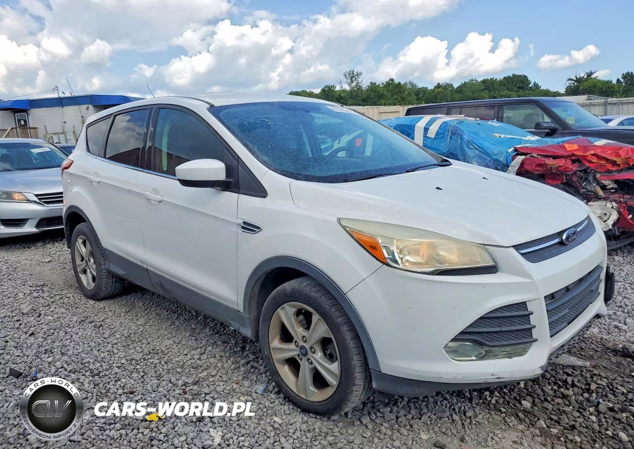 2014 Ford Escape Se VIN:1FMCU9GX6EUD95175 - 4