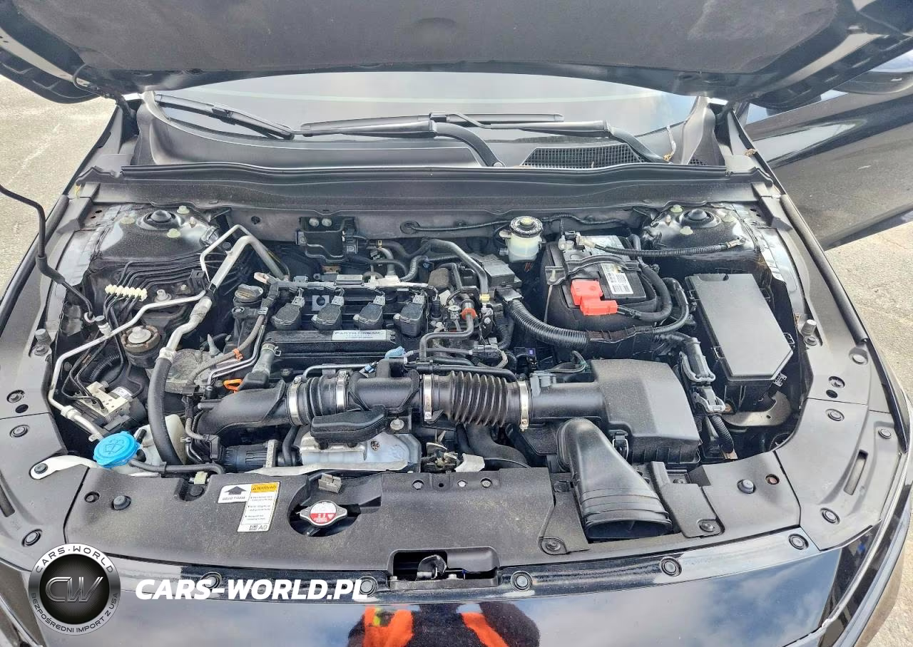 2019 Honda Accord Ex VIN:1HGCV1F4XKA144913 - 11