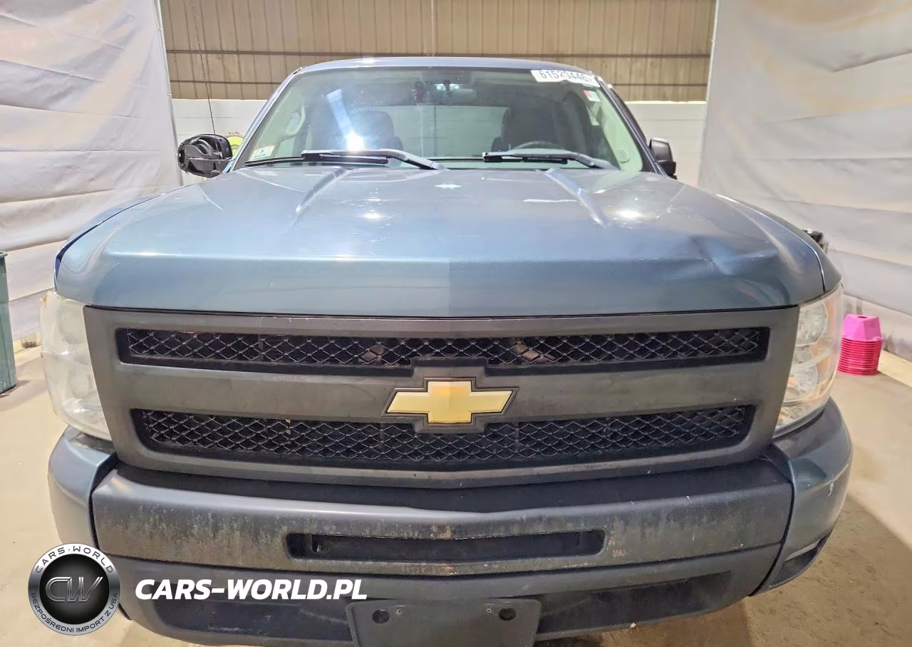 2011 Chevrolet Silverado C1500 VIN:1GCRCPEX9BZ296566 - 5