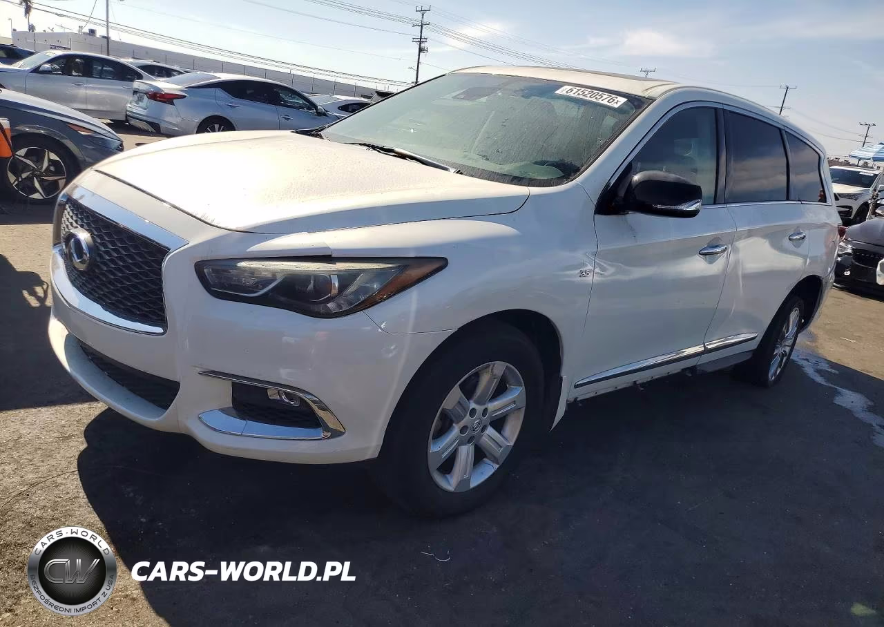 2019 Infiniti Qx60 Pure VIN:5N1DL0MN0KC506505 - 1