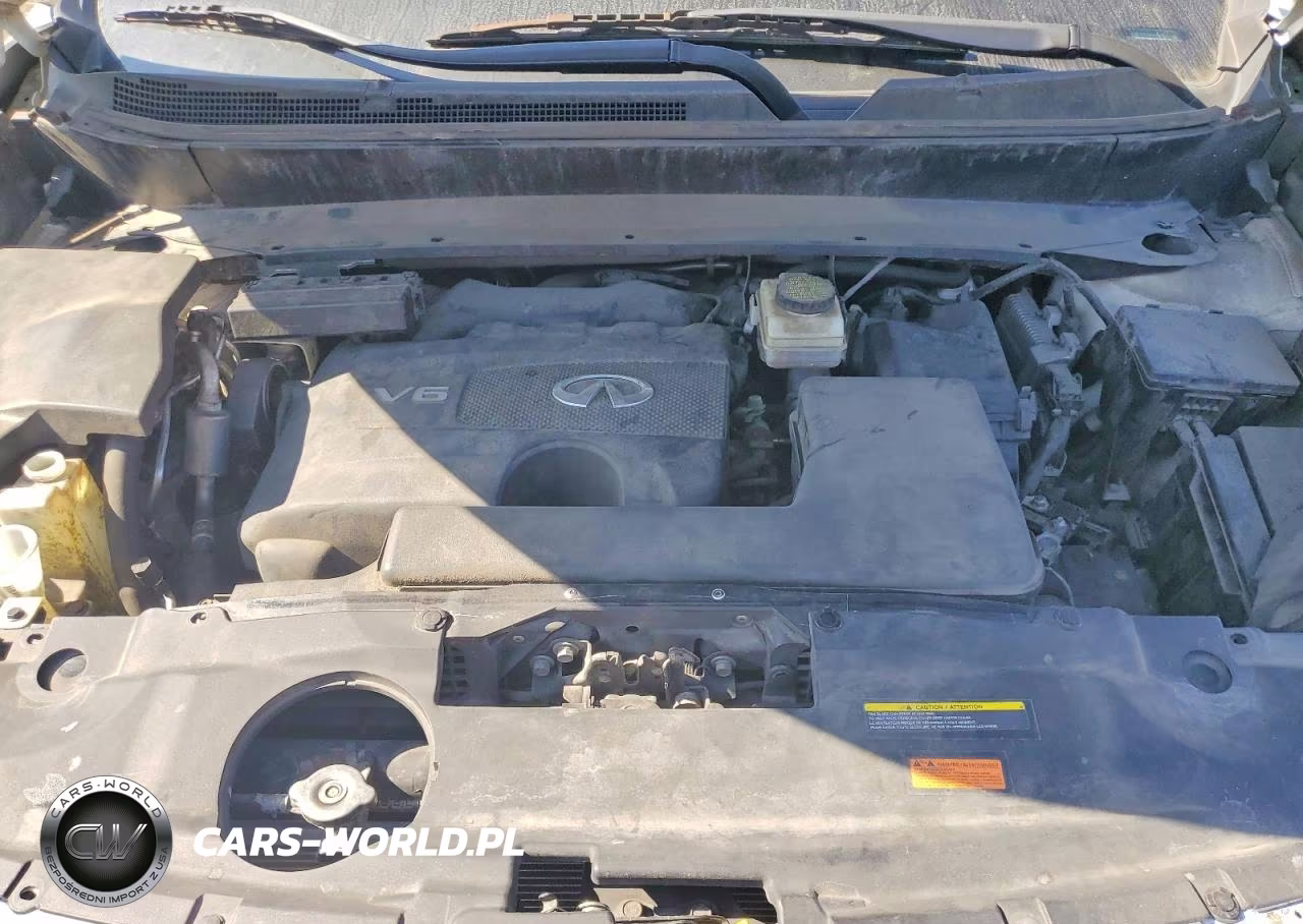 2019 Infiniti Qx60 Pure VIN:5N1DL0MN0KC506505 - 12