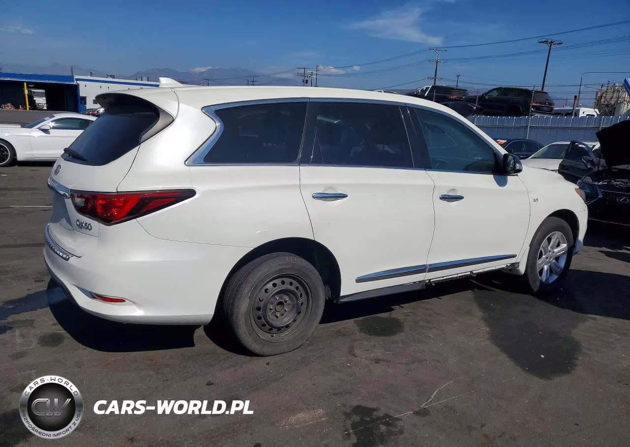 2019 Infiniti Qx60 Pure VIN:5N1DL0MN0KC506505 - 3