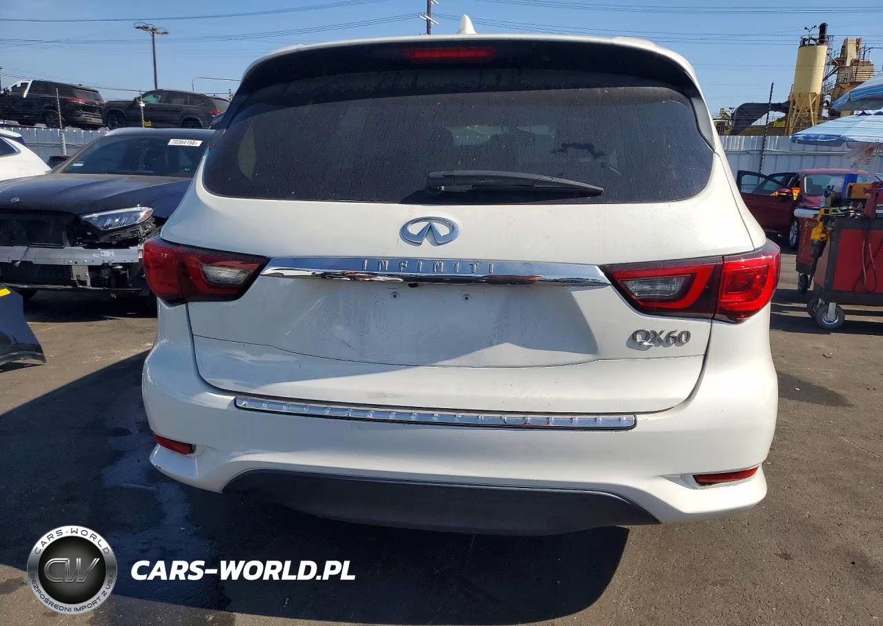 2019 Infiniti Qx60 Pure VIN:5N1DL0MN0KC506505 - 6