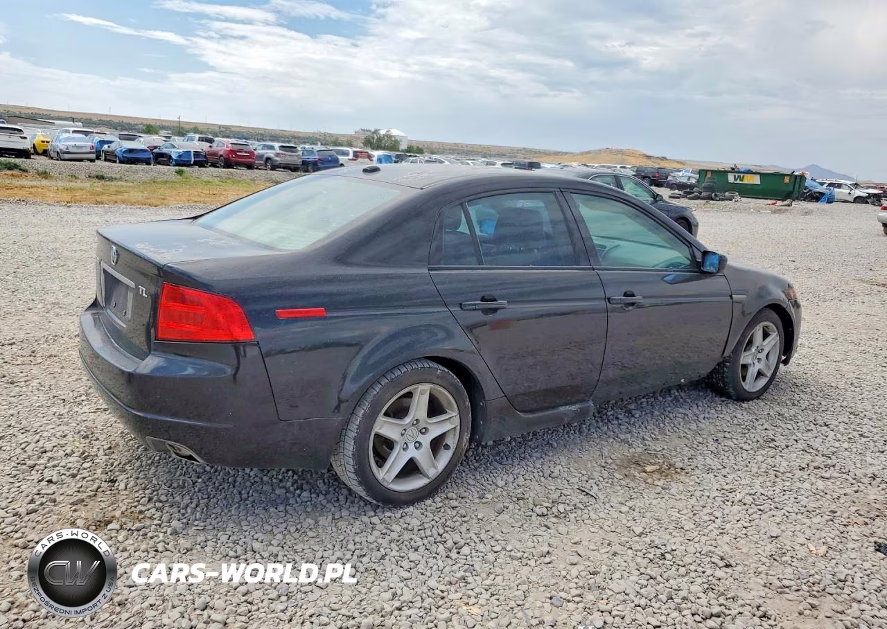 2005 Acura Tl VIN:19UUA66245A038828 - 3