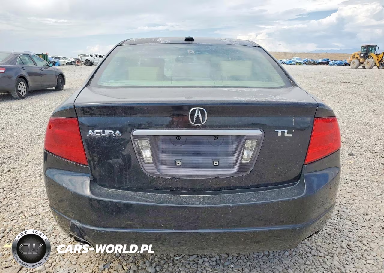2005 Acura Tl VIN:19UUA66245A038828 - 6