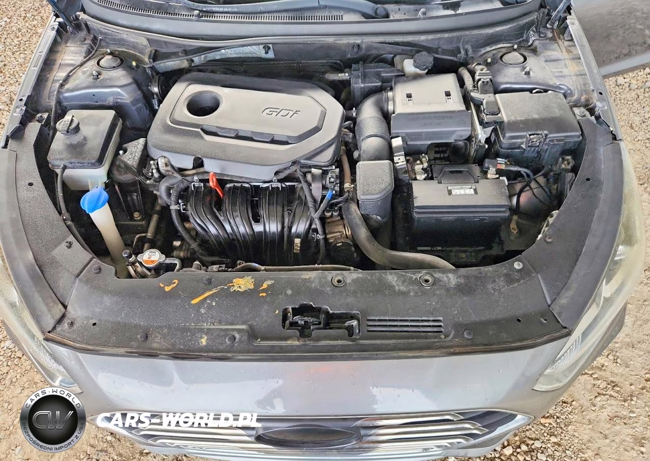 2019 Hyundai Sonata Se VIN:5NPE24AF8KH750200 - 11