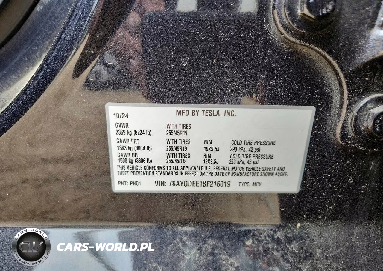 2025 Tesla Model Y VIN:7SAYGDEE1SF216019 - 12