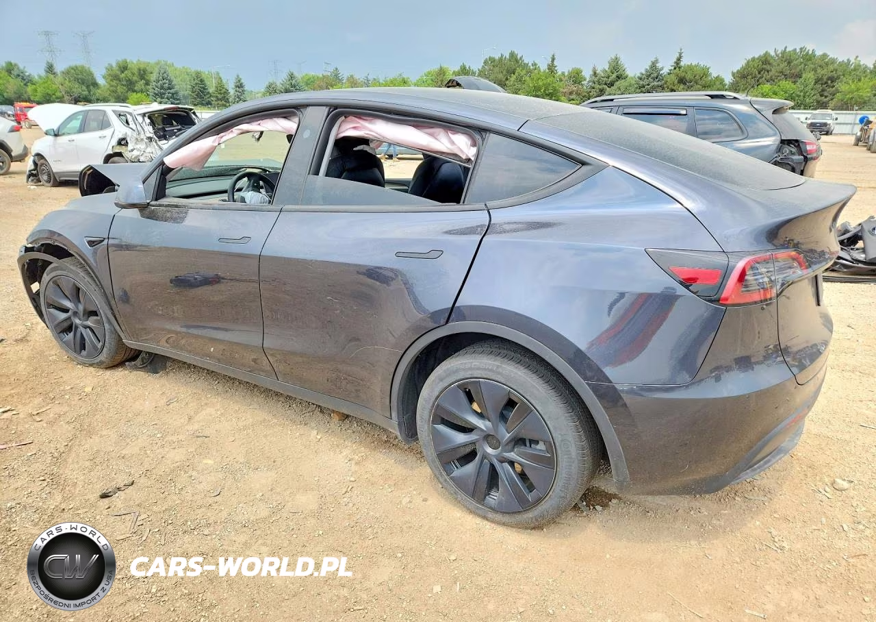 2025 Tesla Model Y VIN:7SAYGDEE1SF216019 - 2