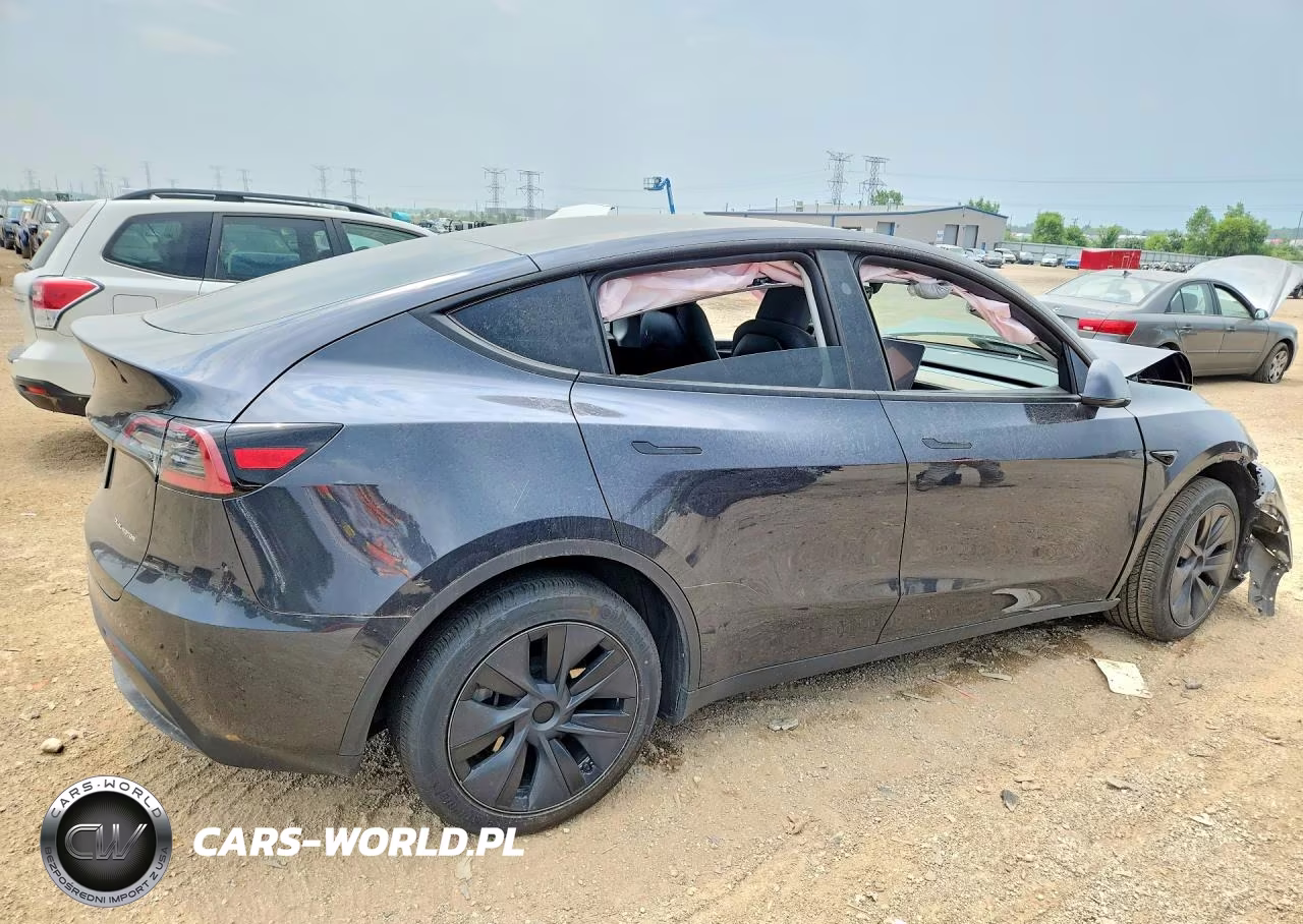 2025 Tesla Model Y VIN:7SAYGDEE1SF216019 - 3