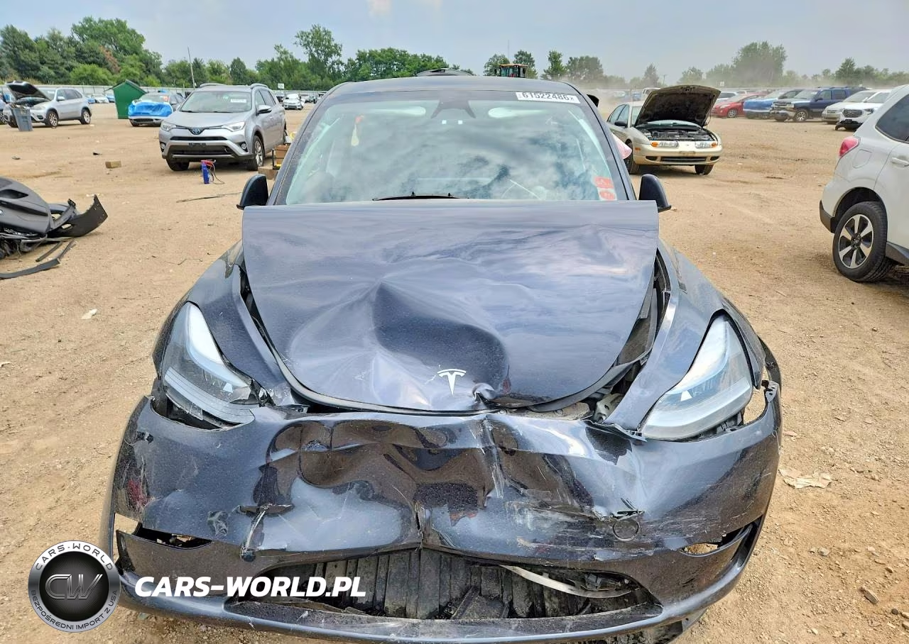 2025 Tesla Model Y VIN:7SAYGDEE1SF216019 - 5