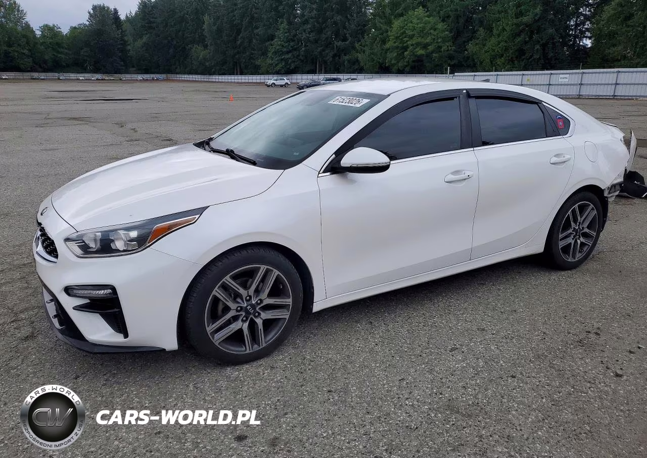 2019 Kia Forte Ex