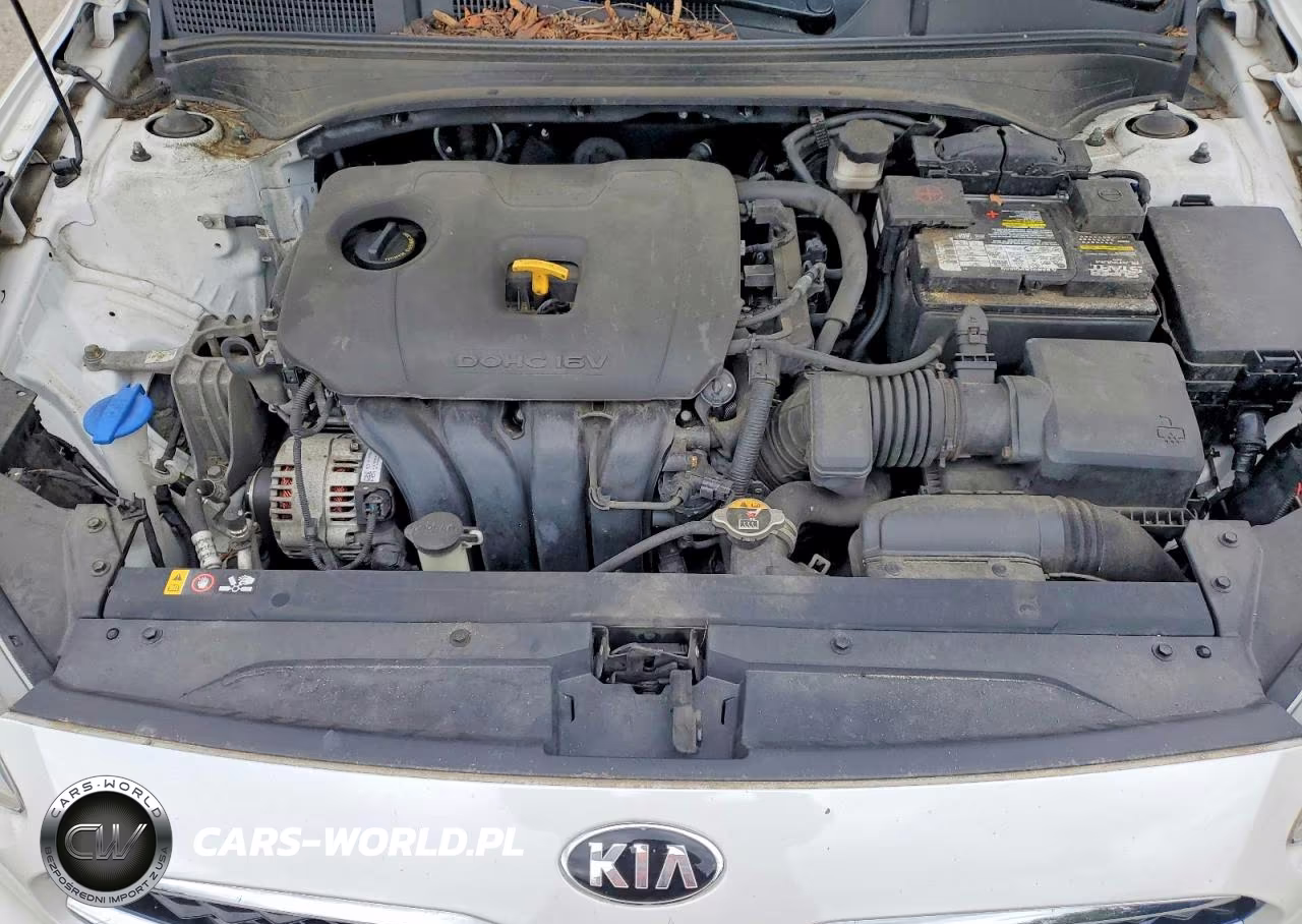 2019 Kia Forte Ex VIN:3KPF54AD6KE032787 - 11