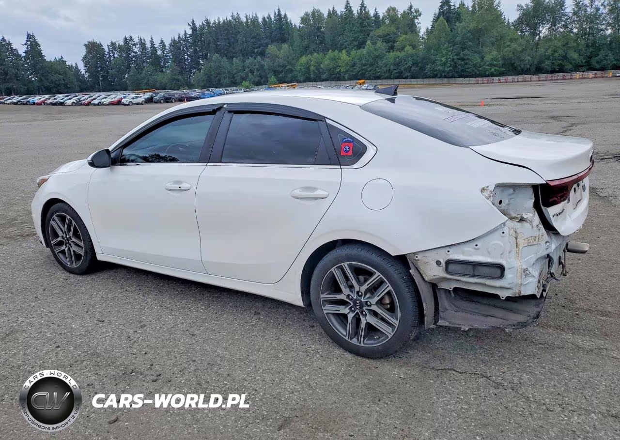 2019 Kia Forte Ex VIN:3KPF54AD6KE032787 - 2