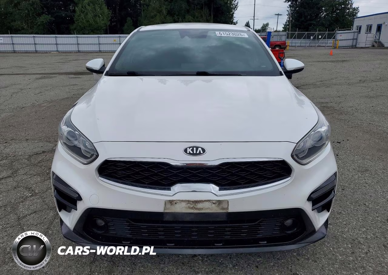 2019 Kia Forte Ex VIN:3KPF54AD6KE032787 - 5