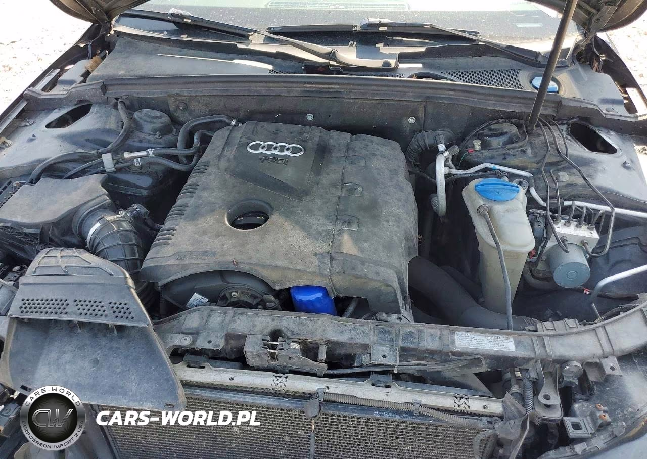 2013 Audi A4 Premium Plus VIN:WAUFFAFL6DN023143 - 11