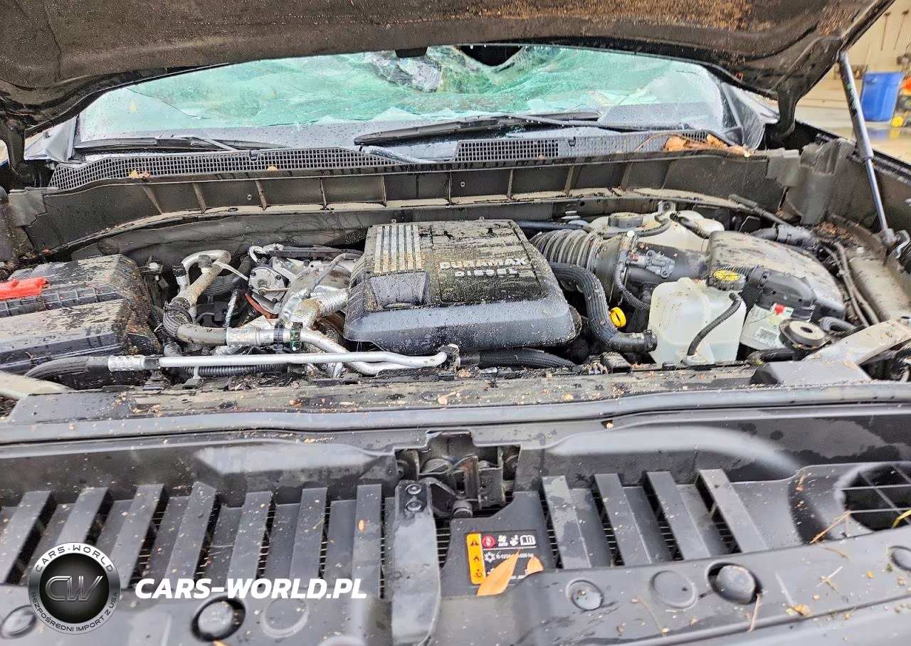 2025 Chevrolet Silverado K1500 Rst VIN:3GCUKEE85SG369829 - 11
