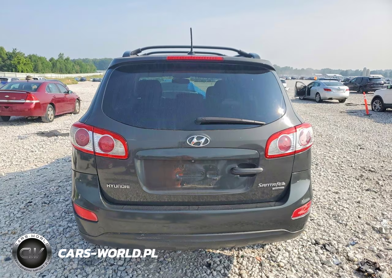 2010 Hyundai Santa Fe Se VIN:5NMSHDAG9AH410060 - 6