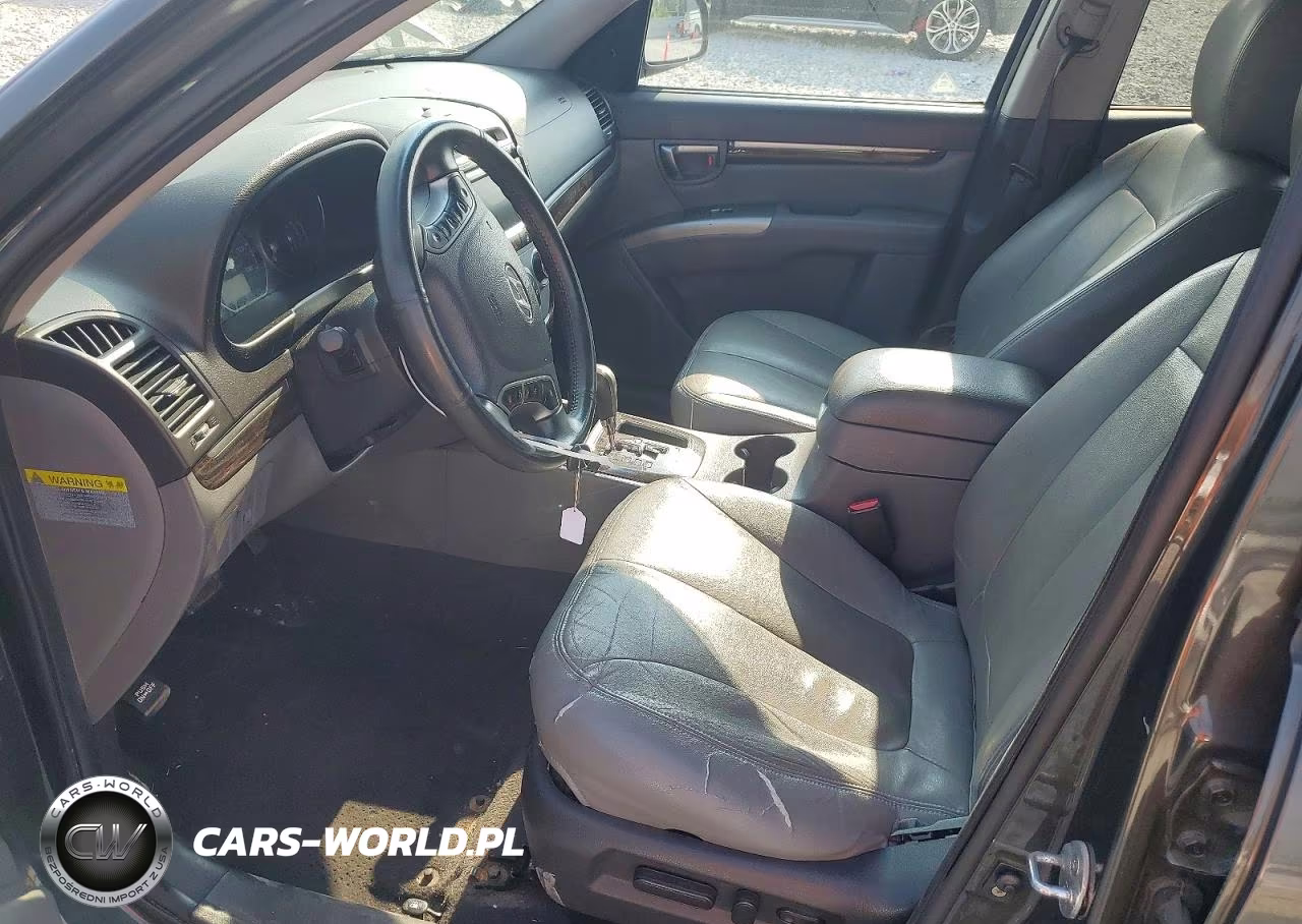 2010 Hyundai Santa Fe Se VIN:5NMSHDAG9AH410060 - 7