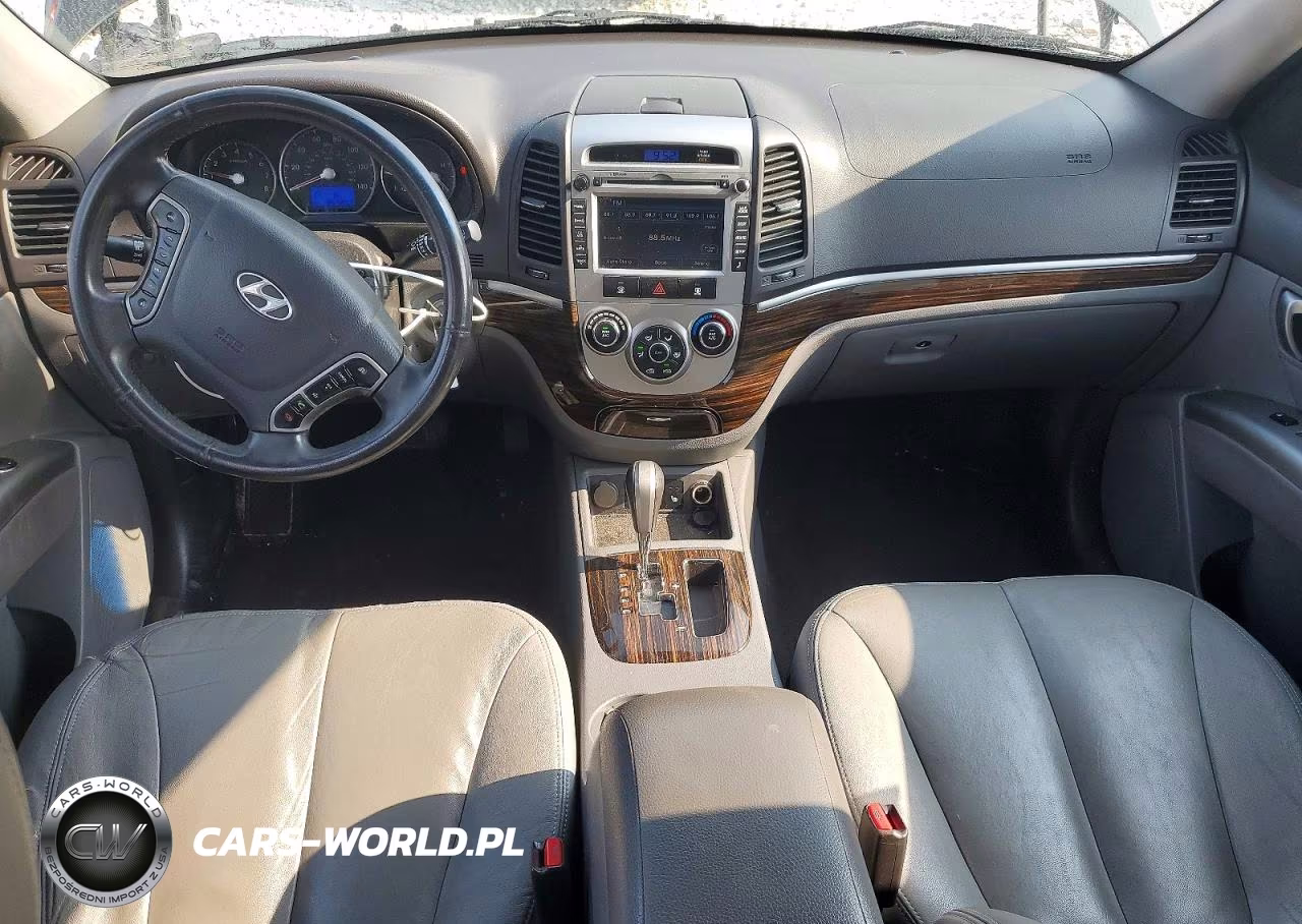 2010 Hyundai Santa Fe Se VIN:5NMSHDAG9AH410060 - 8