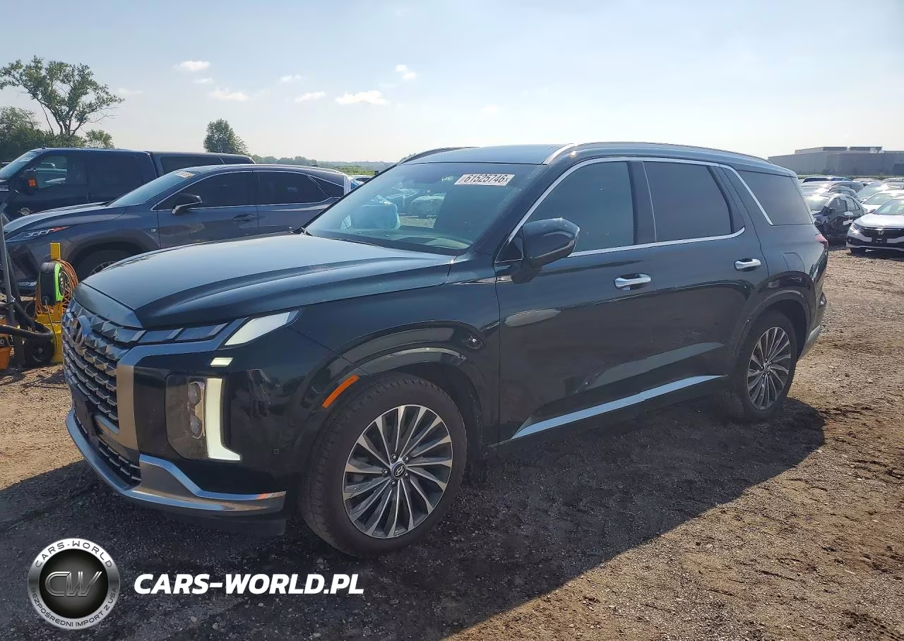 2023 Hyundai Palisade Calligraphy VIN:KM8R7DGE8PU545180 - 1
