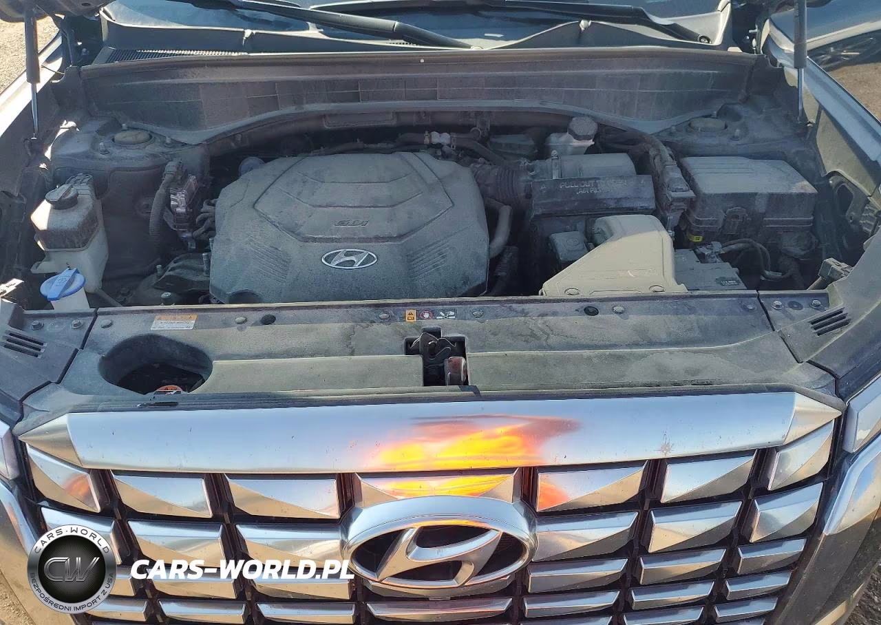 2023 Hyundai Palisade Calligraphy VIN:KM8R7DGE8PU545180 - 12