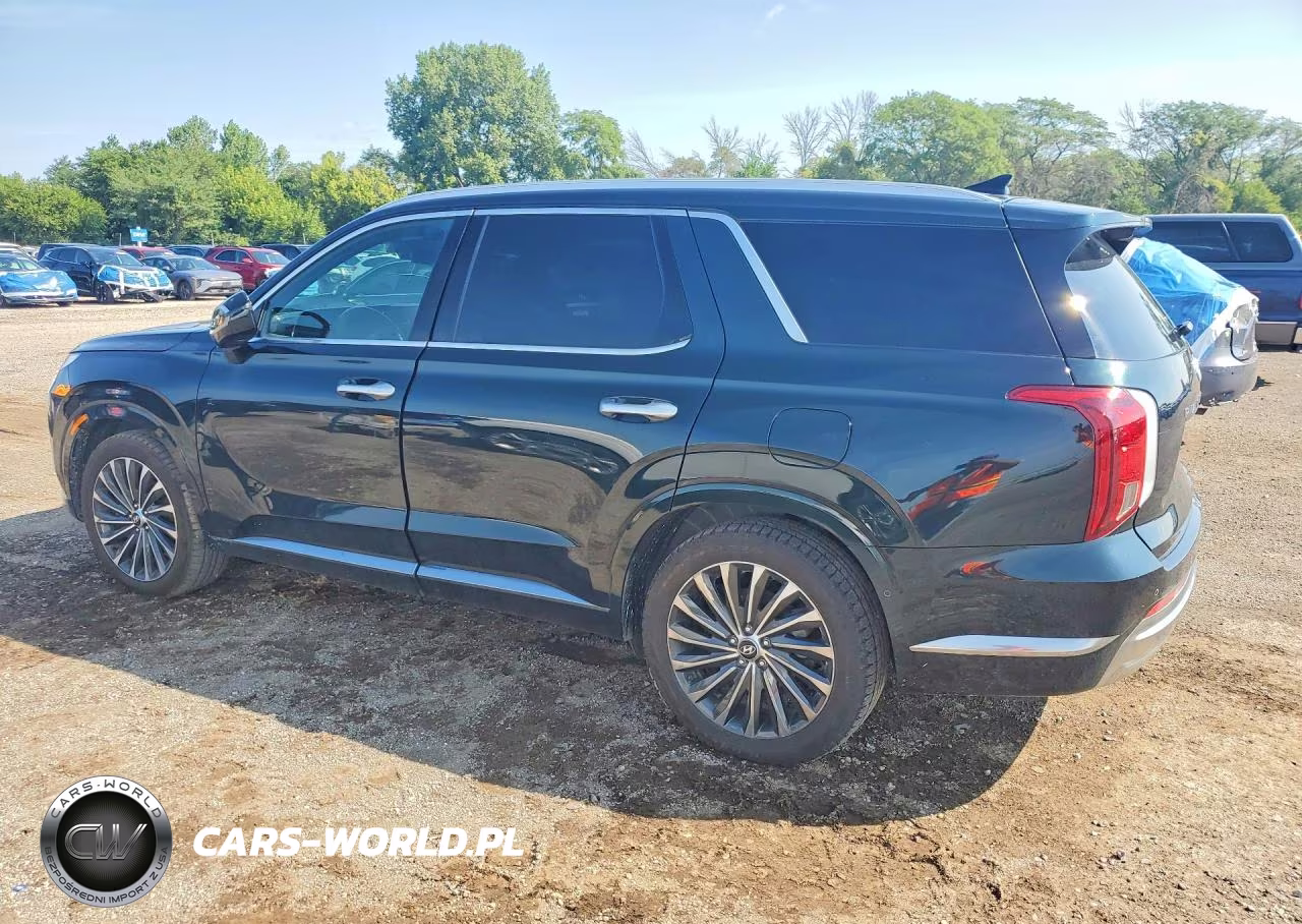 2023 Hyundai Palisade Calligraphy VIN:KM8R7DGE8PU545180 - 2