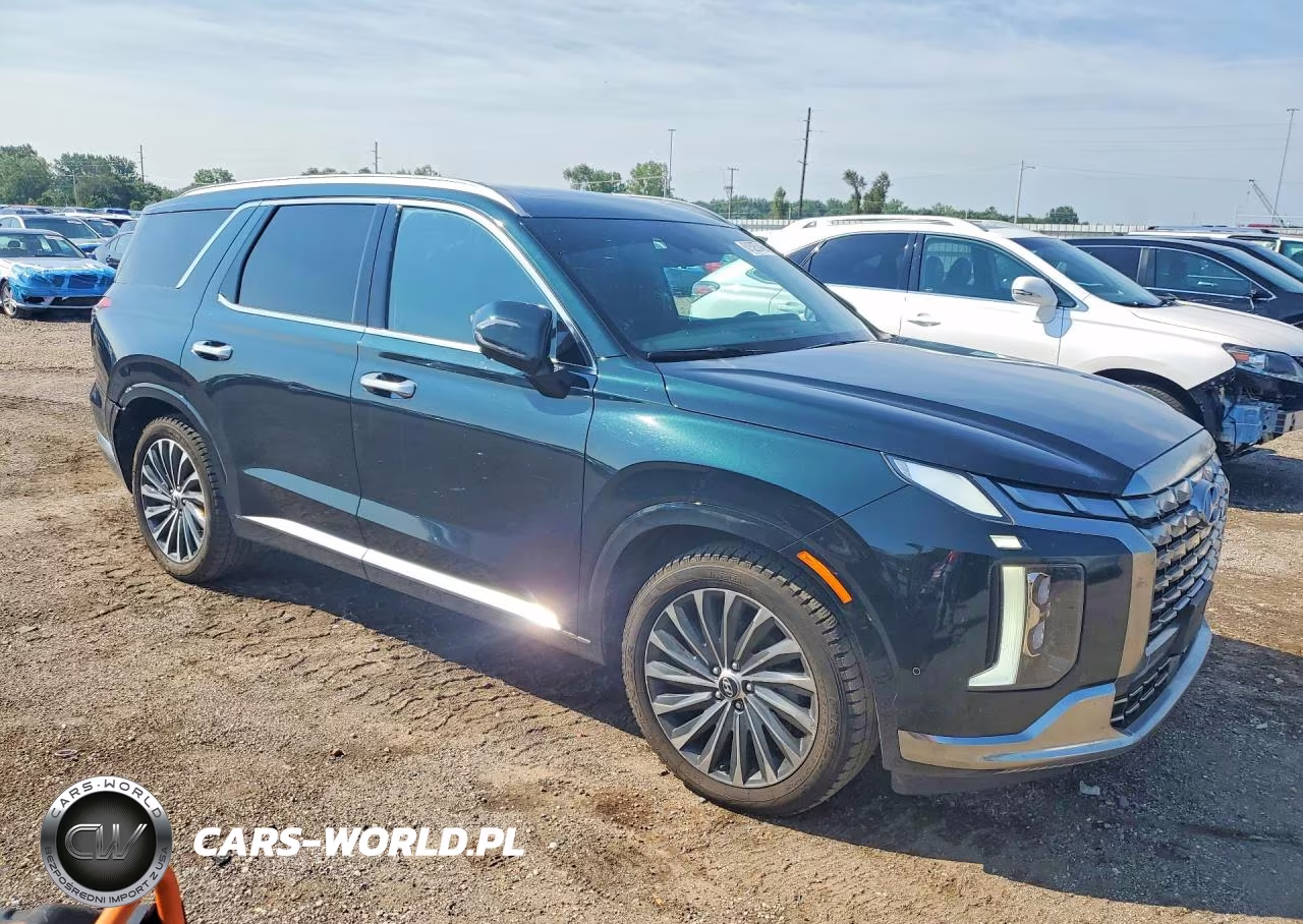 2023 Hyundai Palisade Calligraphy VIN:KM8R7DGE8PU545180 - 4
