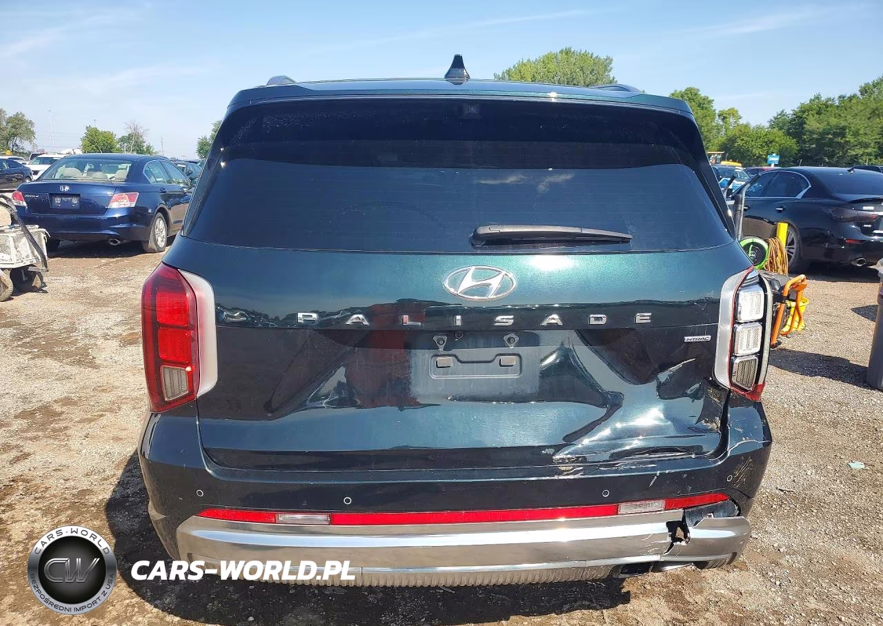 2023 Hyundai Palisade Calligraphy VIN:KM8R7DGE8PU545180 - 6