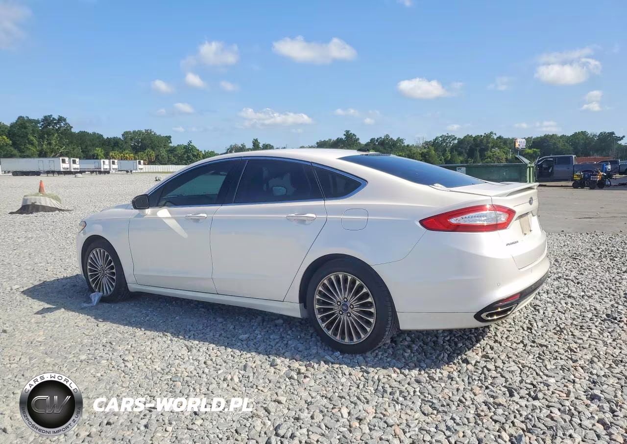 2014 Ford Fusion Titanium VIN:3FA6P0K96ER387488 - 2