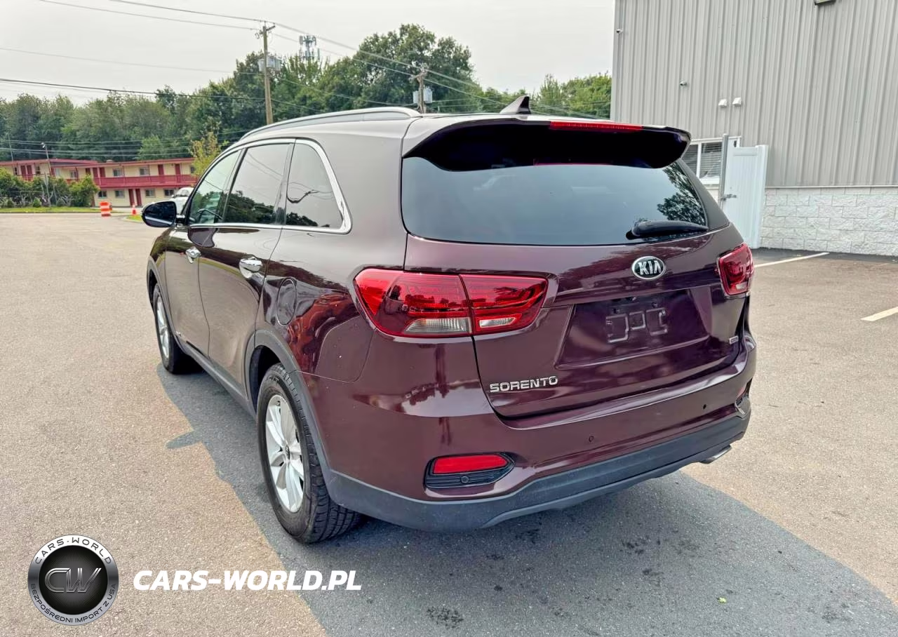 2019 Kia Sorento Lx VIN:5XYPGDA30KG439805 - 2