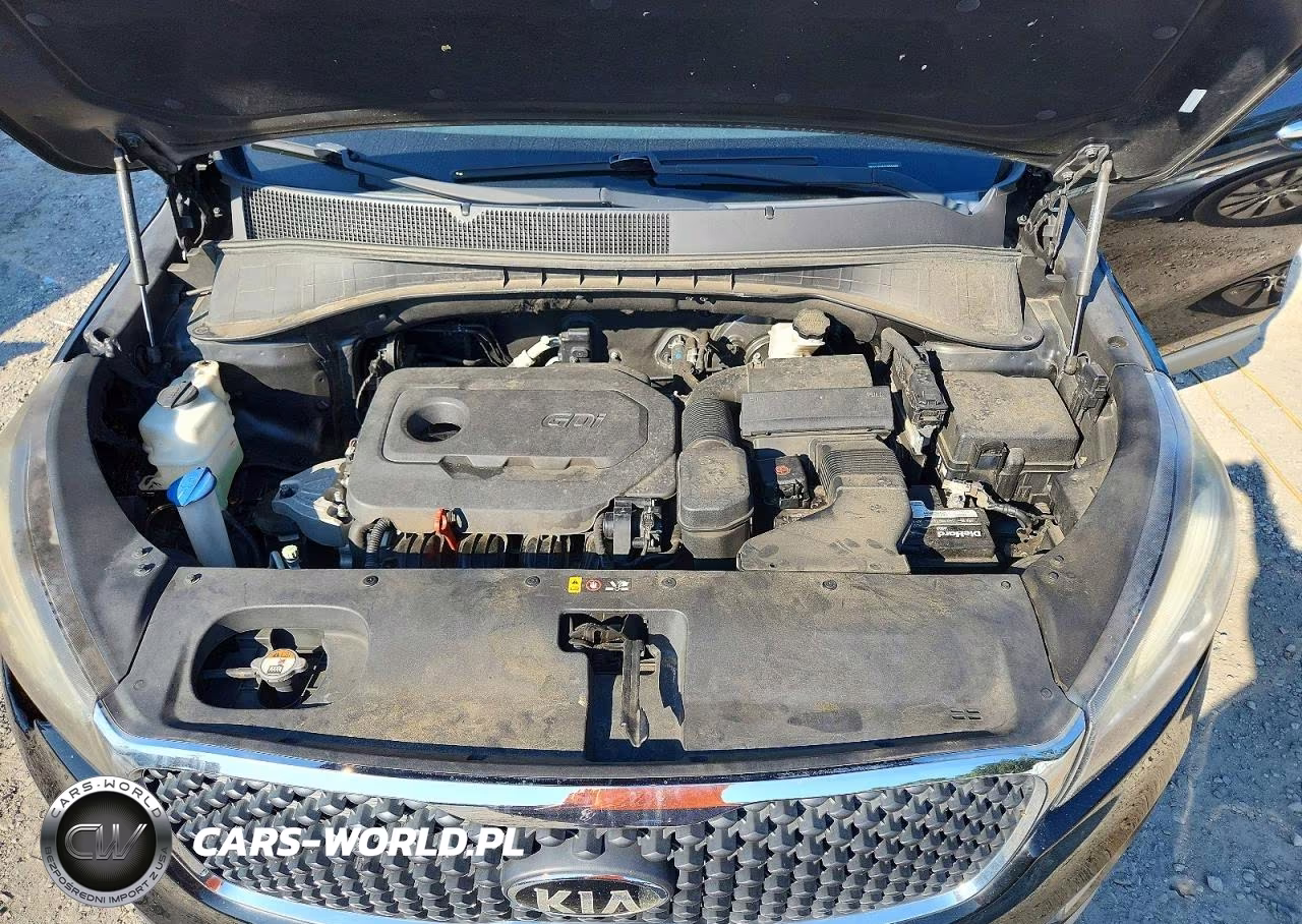 2016 Kia Sorento L VIN:5XYPG4A30GG094685 - 12