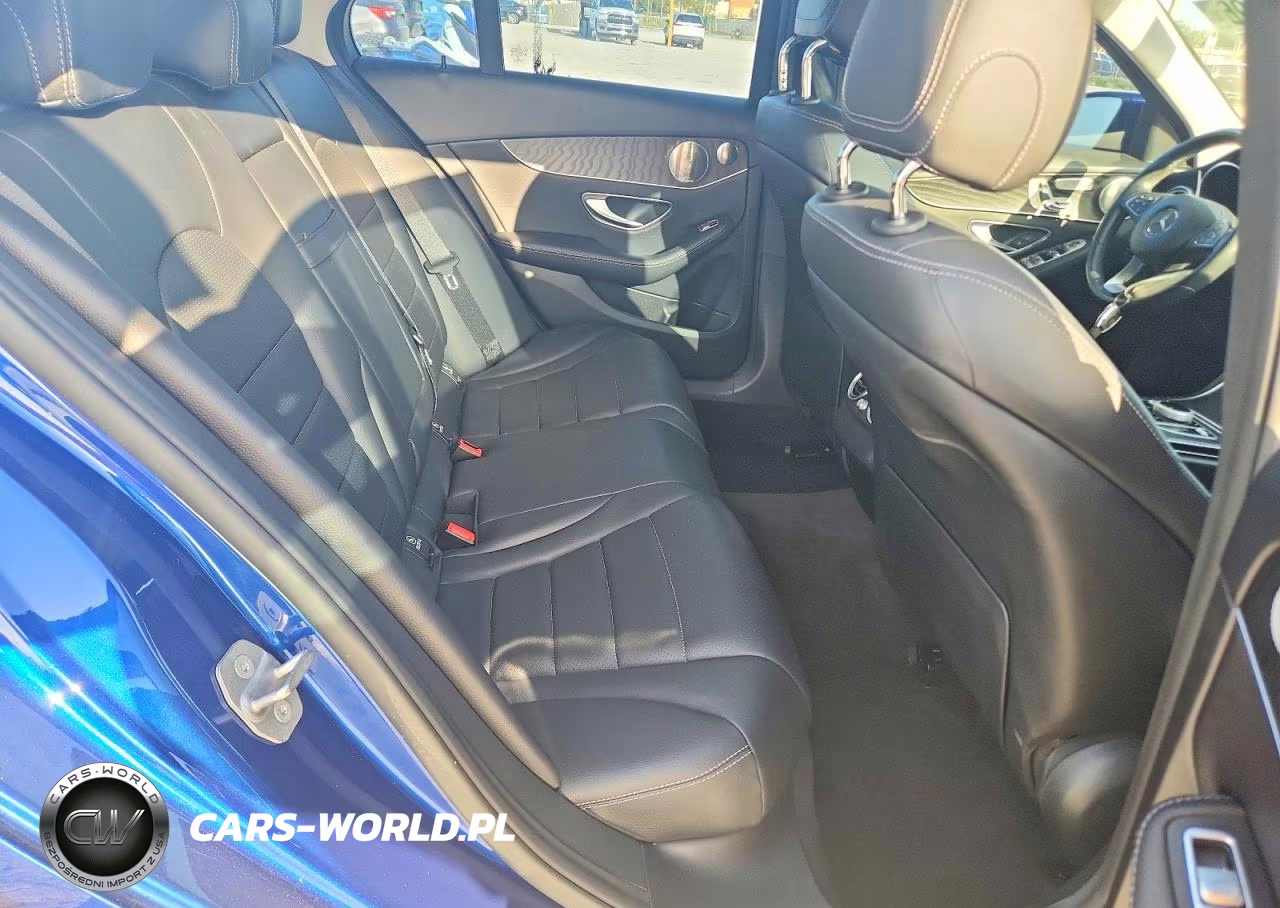 2017 Mercedes-Benz C 300 VIN:55SWF4JB1HU191441 - 10