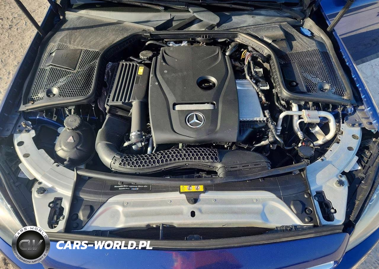 2017 Mercedes-Benz C 300 VIN:55SWF4JB1HU191441 - 11