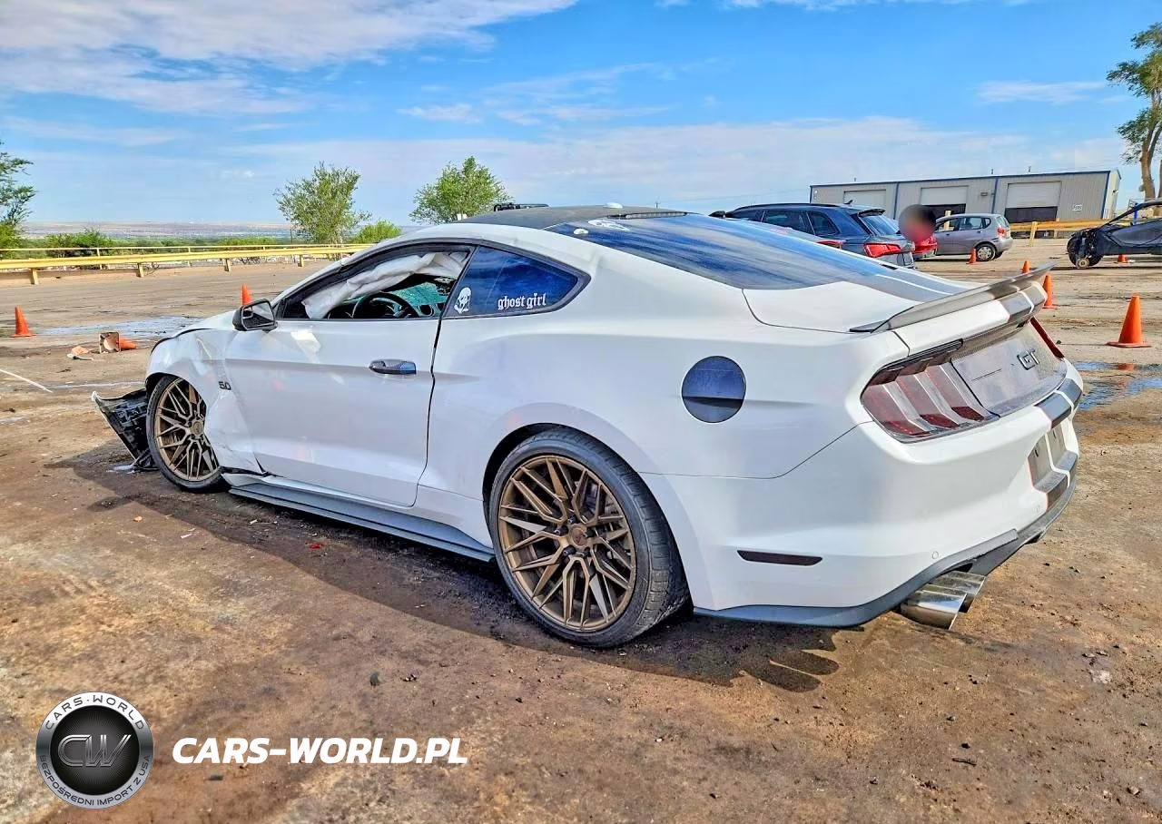 2019 Ford Mustang Gt VIN:1FA6P8CF2K5153026 - 2