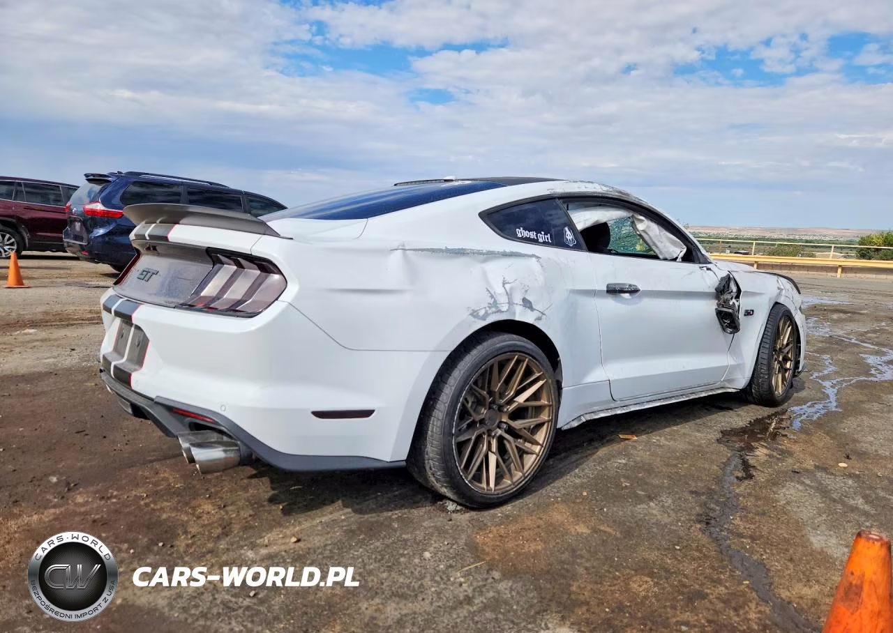 2019 Ford Mustang Gt VIN:1FA6P8CF2K5153026 - 3