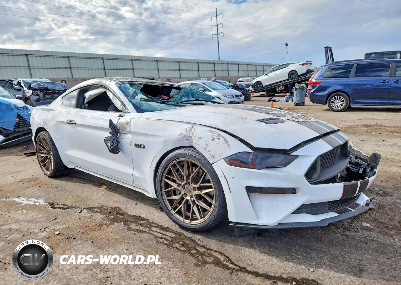 2019 Ford Mustang Gt VIN:1FA6P8CF2K5153026 - 4
