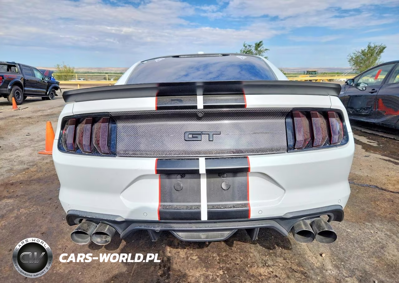 2019 Ford Mustang Gt VIN:1FA6P8CF2K5153026 - 6