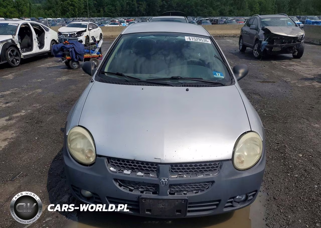 2005 Dodge Neon Sxt VIN:1B3ES56C65D184506 - 5