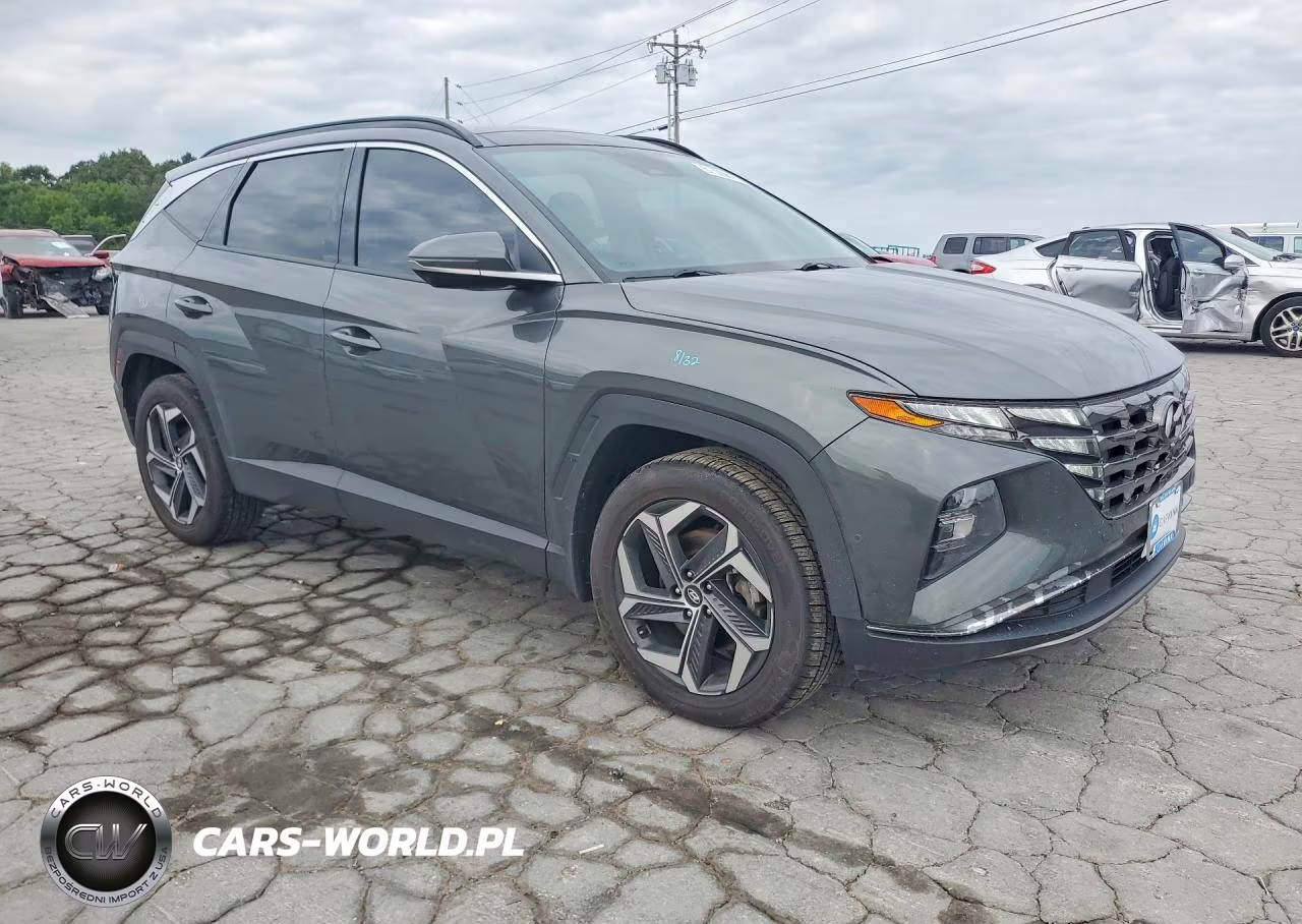 2022 Hyundai Tucson Limited VIN:KM8JECA13NU059635 - 4