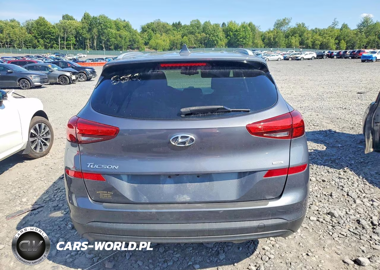 2019 Hyundai Tucson Value VIN:KM8J3CA4XKU990628 - 6