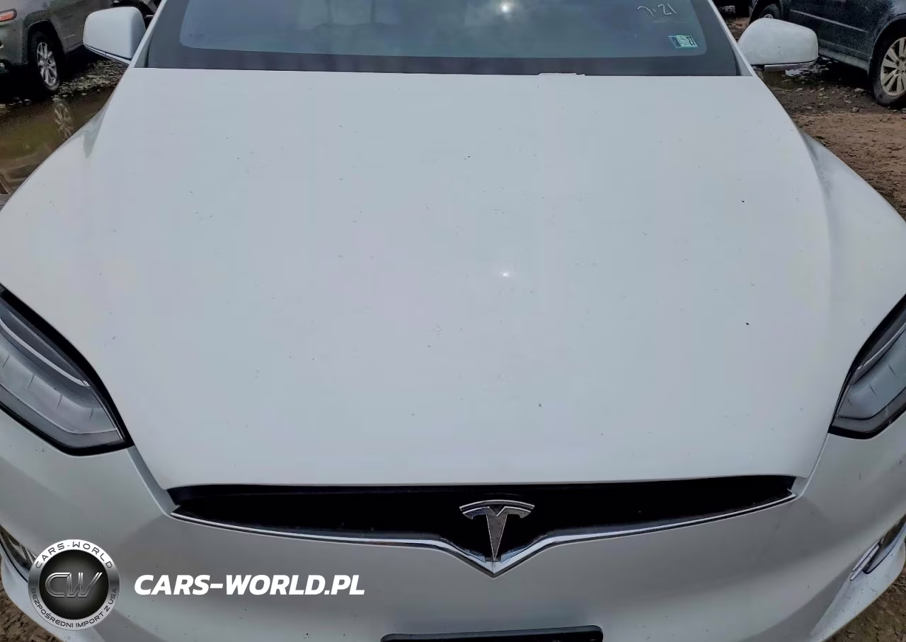 2017 Tesla Model X VIN:5YJXCAE25HF075151 - 12