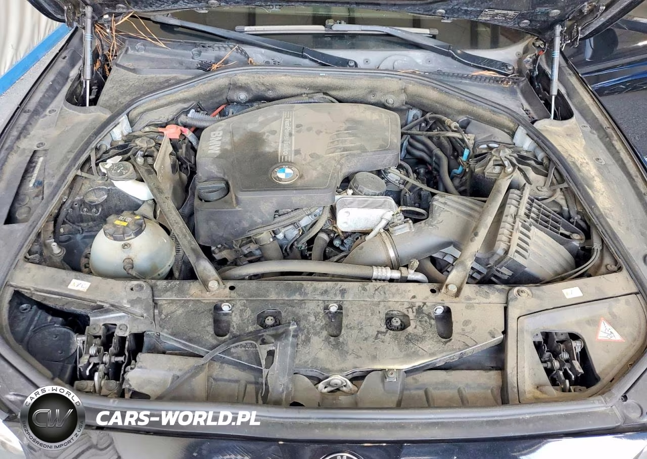 2015 BMW 528 Xi VIN:WBA5A7C50FD621952 - 11