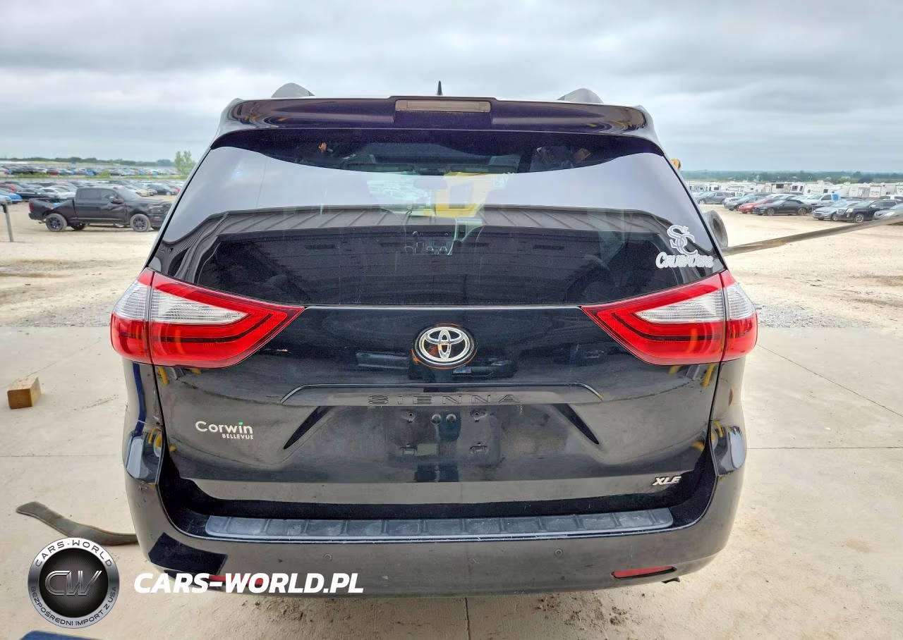2019 Toyota Sienna Xle 8-Passenger VIN:5TDYZ3DC6KS998329 - 6