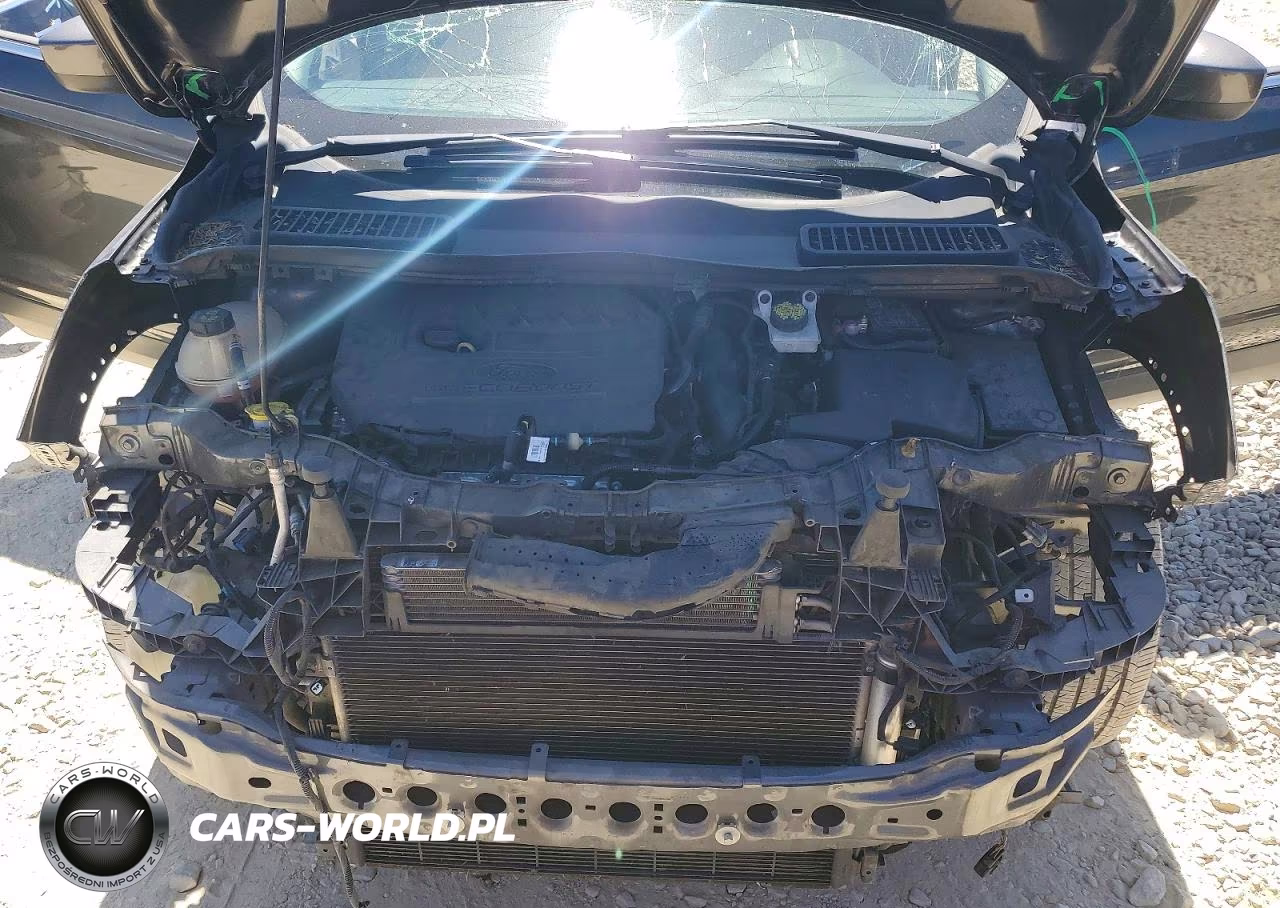 2018 Ford Escape Se VIN:1FMCU0GD9JUA65011 - 12