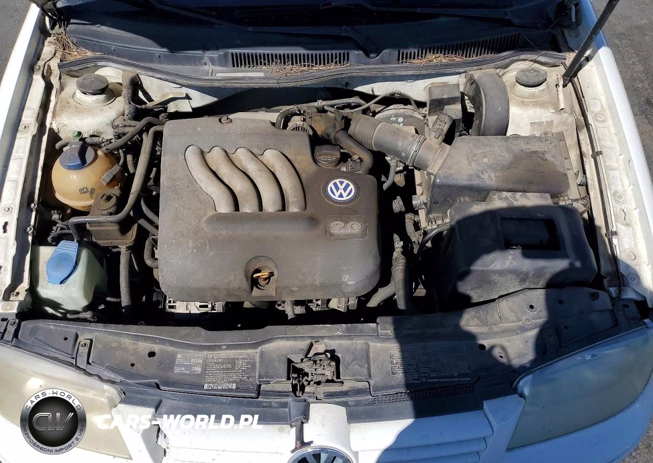 2002 Volkswagen Jetta Gls VIN:3VWSK69M22M039858 - 11