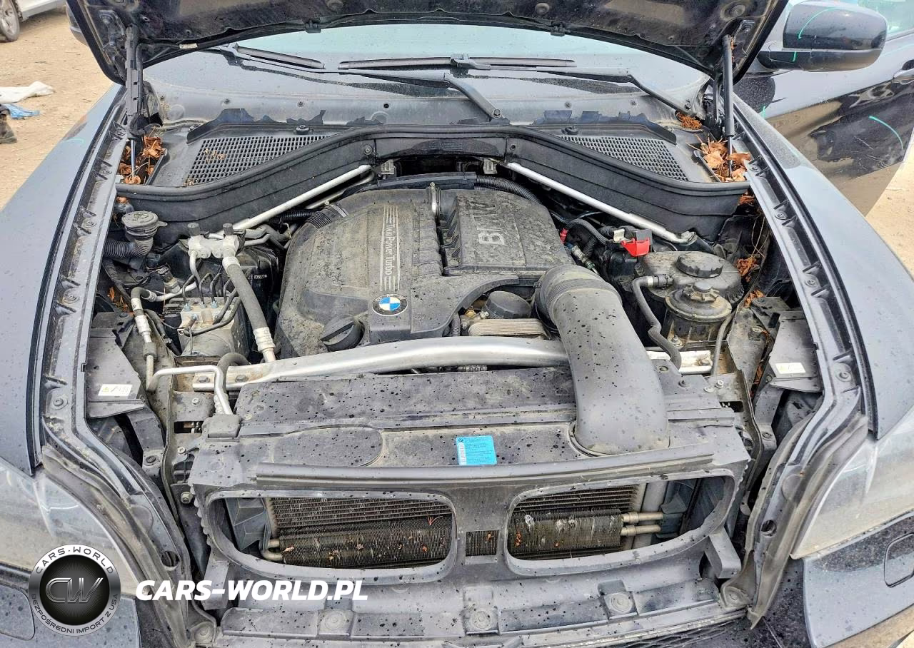 2011 BMW X6 xDrive35I VIN:5UXFG2C52BLX05827 - 12