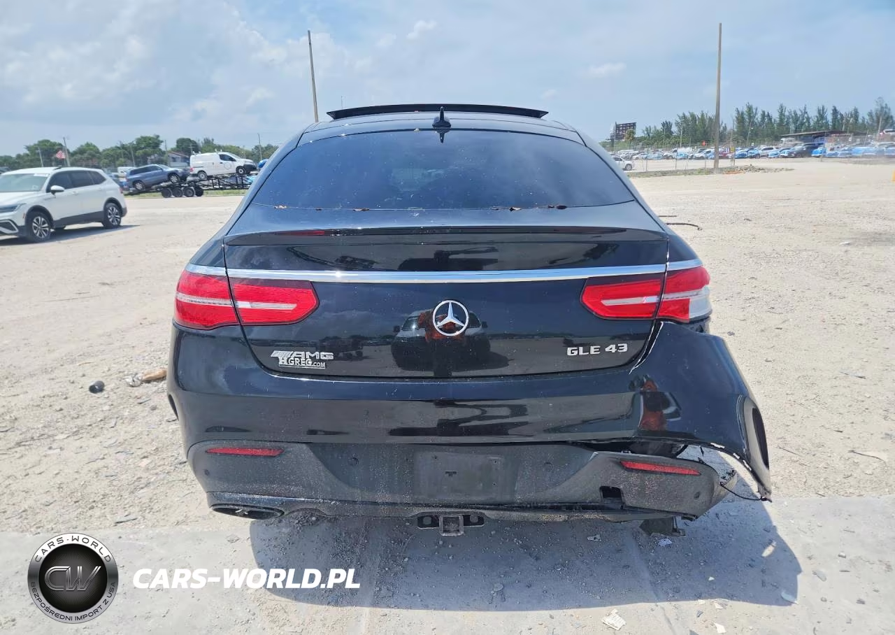 2019 Mercedes-Benz Gle Coupe 43 Amg VIN:4JGED6EB4KA134364 - 6