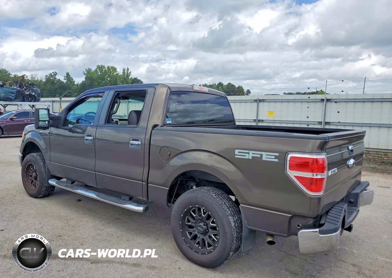 2009 Ford F150 Supercrew VIN:1FTRW12869FA86715 - 2